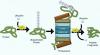 Photo for Proteasome Inhibitors Therapeutics Pipeline Analysis