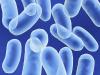 Photo for Bacillus Coagulans Market - Size, Share, Trends and Forecast to 2025