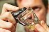 Photo for Anti-venom Market 2018-2023 Top Companies Revenue Shortage Forecast