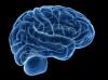Photo for Mindzr Brain Booster