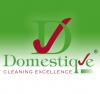 Photo for Domestique Franchise