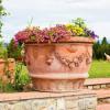 Photo for Tuscan Imports
