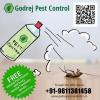 Photo for Pest control Gurgaon call +91-9811381458
