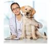 Photo for Pet Cancer Therapeutics Market Growth, Trends and industry Analysis 2024
