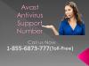 Photo for Avast Support Phone Number 1-855-6873-777