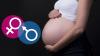 Photo for Specialist IVF Center Nearby Cyprus in UK