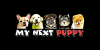 Photo for My Next Puppy