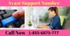 Photo for Give A Call On Avast Tech Support Number 1-855-6873-777