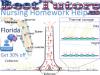 Photo for Nursing Homework Help Florida Provided in the Best Way by Writing Professionals