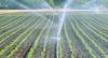 Photo for Micro Irrigation System Market analysis and growth drivers by 2023