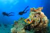 Photo for Best Scuba Diving - Goa