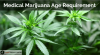 Photo for Minimum Age Requirement for Medical Marijuana Use