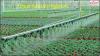 Photo for Greenhouse Irrigation Market Growth Rate, Developing Trends, Manufacturers, Countries, Type and Application, Global Forecast To 2024