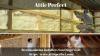 Photo for Hire the best insulation companies for home insulation in San Diego