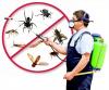 Photo for Blaums Termite and Pest Control
