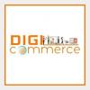 Photo for Digicommerce Solutions LLP