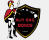 Photo for Hawaii State Bonding llc