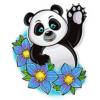 Photo for The Healing Panda