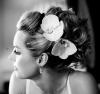 Photo for Wedding Hair Design by Aletha Robertson