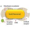Photo for Gold Nanorod Market Demand, Sales, Outlook and Regional Forecast 2025