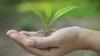 Photo for Organic Farming Market Trends and Outlook 2018