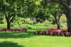 Photo for Cavalry Lawns