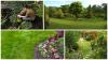Photo for J & S Landscape Maintenance