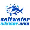 Photo for Saltwater Advisor