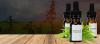 Photo for Best CBD Hemp Oil for Sale