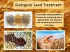Photo for Biological Seed Treatment Market Potential Growth, Analysis, Strategies and Forecast 2024