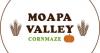 Photo for Moapa Valley Cornmaze