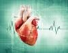 Photo for The Acute Coronary Syndrome Market World Leading Key Players Revenue, Share, Analysis and Estimation Till 2023