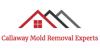 Photo for Callaway Mold Removal Experts