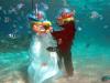 Photo for Underwater Wedding Proposal Photos: When Love Is Underwater!