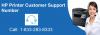 Photo for HP Printer Customer Service 1-833-283-8333 Number- For Printing Problem