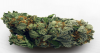 Photo for Medical Marijuana Dispensary