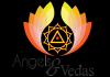 Photo for Angel and Vedas
