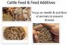 Photo for Cattle Feed & Feed Additives Market Potential Growth, Analysis, Strategies and Forecast 2024
