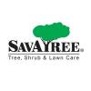 Photo for SavATree - Tree Service & Lawn Care