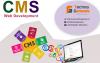 Photo for CMS Web Development Services in Madurai