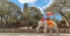 Photo for Thailand Package Tours: Enjoy all that’s best in Thailand with PassionIndoChinaTravel!