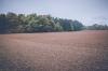 Photo for Are You Looking For Land For Sale In Islamabad?