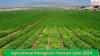 Photo for Agriculture Biologicals Market Present Scenario and the Growth Prospects with Forecast 2024