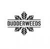 Photo for Ontario Cannabis Store