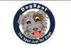Photo for DogSpot