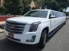 Photo for Airport Transportation Manhattan