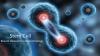 Photo for Stem Cell Market Growth Analysis and Future Demand with Forecast up to 2024