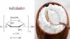 Photo for Maltodextrin Market Growth Rate, Developing Trends, Manufacturers, Countries and End User, Global Forecast To 2024