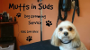 Photo for Mutts in Suds, Dog Grooming Service, Dalkey
