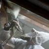Photo for Spray Foam Insulation Cincinnati